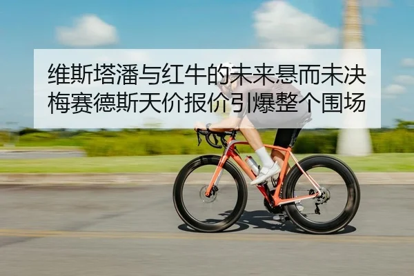 wei-si-ta-pan-yu-hong-niu-de-wei-lai-xuan-er-wei-jue-mei-sai-de-si-tian-jia-bao-jia-yin-bao-zheng-ge-wei-chang-2-818.jpg